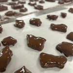 🍯 Choc Coated Vegan Peanut Brittle – OMG it's Irresistible