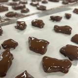 🍯 Choc Coated Vegan Peanut Brittle – OMG it's Irresistible