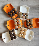 MEGA Easter Bundle (All 6-Packs + 1 Sneaky Filled Egg)