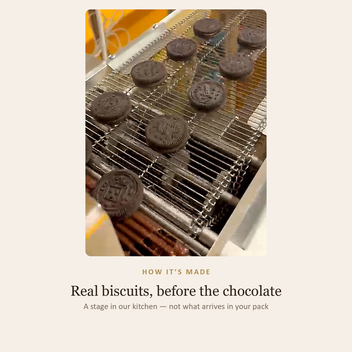 How it is made: real biscuits lined up on the enrobing belt before the chocolate coating goes on — a stage in the kitchen, not what arrives in the pack