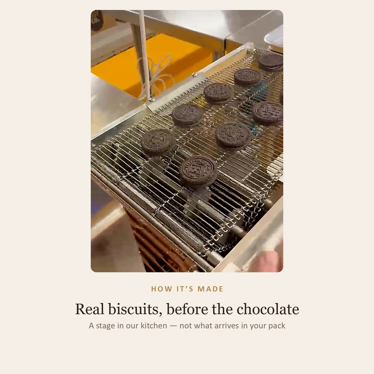 How it is made: real biscuits lined up on the enrobing belt before the chocolate coating goes on — a stage in the kitchen, not what arrives in the pack